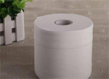衛(wèi)生紙?jiān)趺锤玫睦媚?/>
							</a>
							<h4><a href=